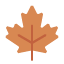 Fall