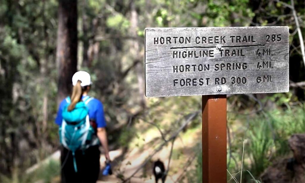 Horton Creek Trail