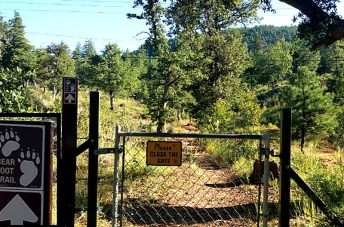 Bearfoot Trail - Payson