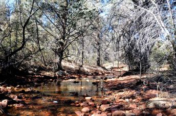 Cypress Trail - Payson